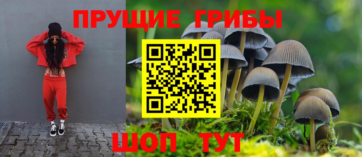 Псилоцибиновые грибы ЛСД Дагестанские Огни