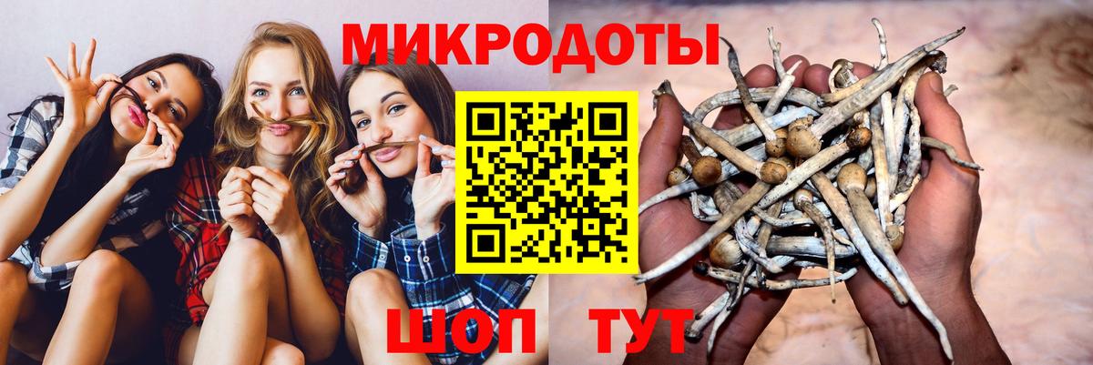 Дагестанские Огни  Галлюциногенные грибы GOLDEN TEACHER  Галлюциногенные грибы Psilocybe  наркошоп  Вход с VPN 